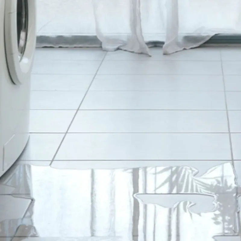 Appliance Leak Cleanup in Ashland, WI