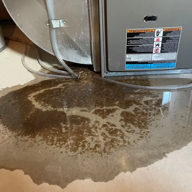 Pipe Burst and Leak Restoration in Ashland, WI