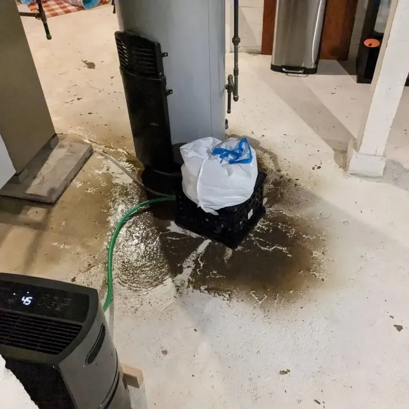 Sewage Backup Cleanup Service in Ashland, WI